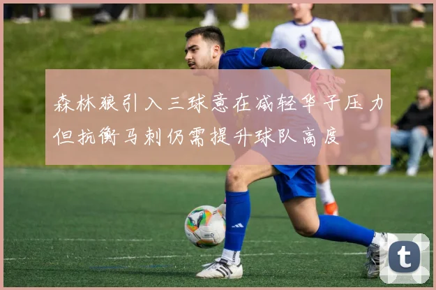 森林狼引入三球意在减轻华子压力但抗衡马刺仍需提升球队高度